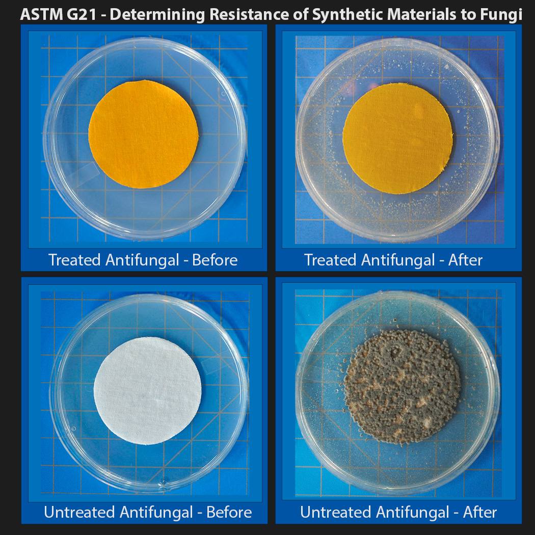 Certified Reference Material for ASTM G21 - Antifungal Test