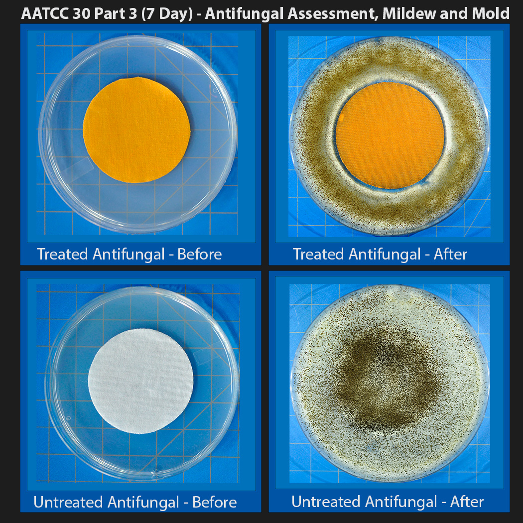 Certified Reference Material for AATCC 30 Part 3 (7-day) - Antifungal Test - Textiles